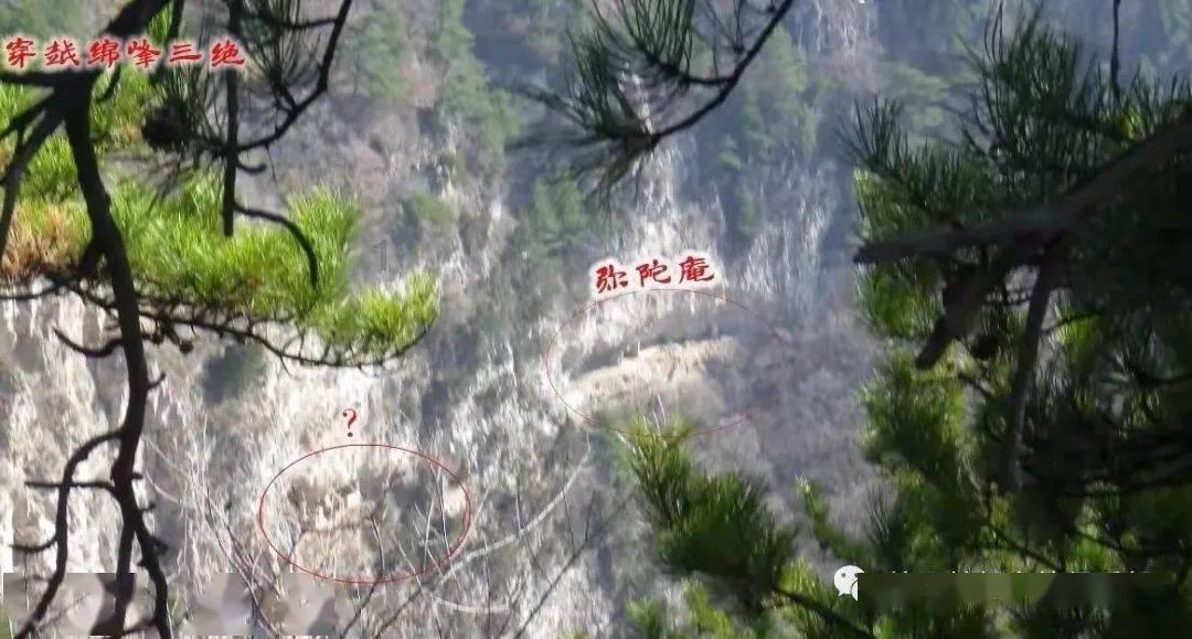 战锤：全面战争2
