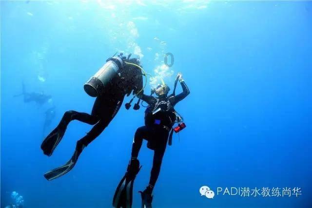 十秒钟生成一只宝可梦，《幻兽帕鲁》AI 抄袭实锤了？
